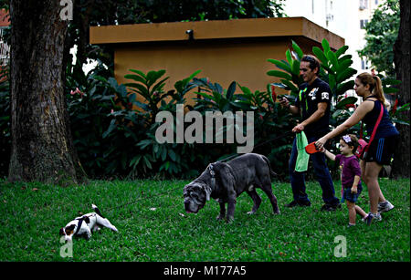 Valencia, Carabobo, Venezuela. 2. Okt 2011. Oktober 02, 2010. Feier der Tiere Tag in der Stadt Valencia, Carabobo Zustand. Foto: Juan Carlos Hernandez Credit: Juan Carlos Hernandez/ZUMA Draht/Alamy leben Nachrichten Stockfoto