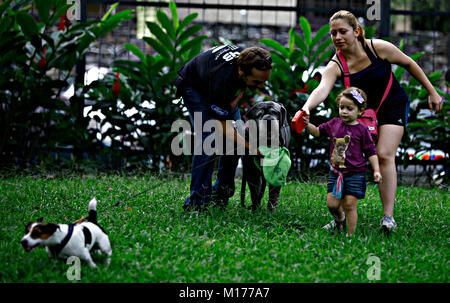 Valencia, Carabobo, Venezuela. 2. Okt 2011. Oktober 02, 2010. Feier der Tiere Tag in der Stadt Valencia, Carabobo Zustand. Foto: Juan Carlos Hernandez Credit: Juan Carlos Hernandez/ZUMA Draht/Alamy leben Nachrichten Stockfoto