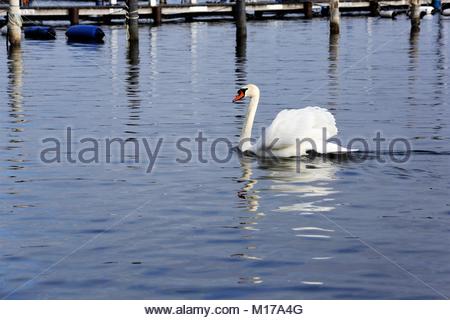 Ein Blick auf den Starnberger See südlich von München in Bayern Deutschland an einem Winter. Stockfoto