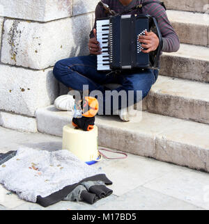 Lissabon, Portugal Circa. April 2014. Junger Mann spielt Akkordeon, sein kleiner Hund hält einen Geldkorb im Mund. Stockfoto