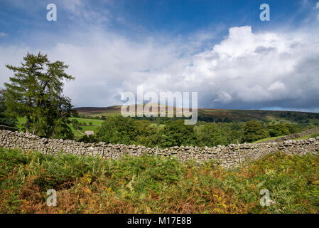 Schönen Tag im September in der Nähe von reeth in Swaledale, Yorkshire Dales, England. Blick auf Calver Hügel in der Nähe von Grinton. Stockfoto