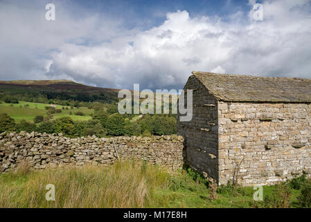 Schönen Tag im September in der Nähe von reeth in Swaledale, Yorkshire Dales, England. Stockfoto