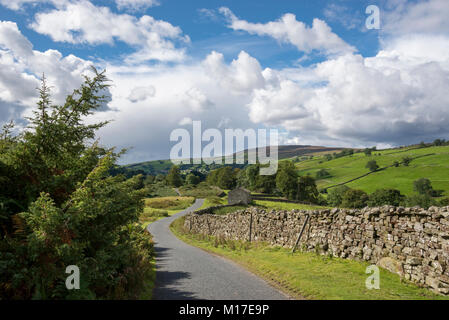 Schönen Tag im September in der Nähe von reeth in Swaledale, Yorkshire Dales, England. Stockfoto