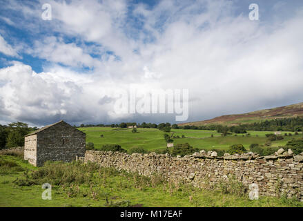 Schönen Tag im September in der Nähe von reeth in Swaledale, Yorkshire Dales, England. Stockfoto