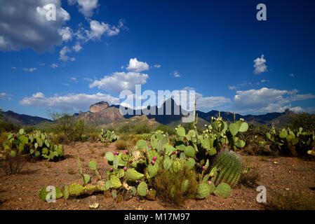 Baboquivari baboquivari Peak, Berge, Sonoran Wüste, Tohono O'odham Reservierung, südöstlich von Verkauft, Arizona, USA. Stockfoto