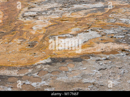 In der Nähe von Orange Rückstände aus heißen Quellen im Yellowstone Stockfoto