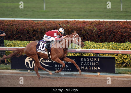 Hallandale, FL, USA. 27 Jan, 2018. Wetten Lieblings Gun Runner #10, geritten von Florent Geroux, gewinnt die $ 16 Mio. Pegasus Wm Einladungs, den Reichsten Vollblüter Pferderennen bei Gulfstream Park am Januar 27, 2018 in Hallandale, Florida Getriebe Ref: FLXX Credit: Hoo Me.Com/Media Punch/Alamy leben Nachrichten Stockfoto