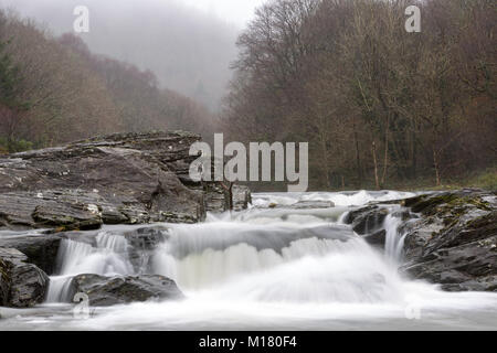 (Cwmrheidol Rheidol Valley), Ceredigion, Wales, Großbritannien, 28. Januar 2018 UK Wetter: Morgennebel verweilt an der von Bäumen gesäumten Tal als rheidol Fluß rauscht über die verwitterte Felsen entlang Cwmrheidol heute Morgen mit feuchten verregneten Wetter. © Ian Jones/Alamy Leben Nachrichten. Stockfoto