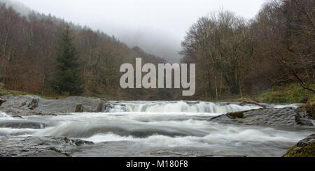 (Cwmrheidol Rheidol Valley), Ceredigion, Wales, Großbritannien, 28. Januar 2018 UK Wetter: Morgennebel verweilt an der von Bäumen gesäumten Tal als rheidol Fluß rauscht über die verwitterte Felsen entlang Cwmrheidol heute Morgen mit feuchten verregneten Wetter. © Ian Jones/Alamy Leben Nachrichten. Stockfoto