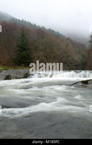 (Cwmrheidol Rheidol Valley), Ceredigion, Wales, Großbritannien, 28. Januar 2018 UK Wetter: Morgennebel verweilt an der von Bäumen gesäumten Tal als rheidol Fluß rauscht über die verwitterte Felsen entlang Cwmrheidol heute Morgen mit feuchten verregneten Wetter. © Ian Jones/Alamy Leben Nachrichten. Stockfoto