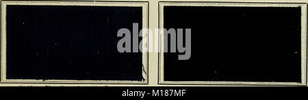 'Revue générale des Mati'eres colorantes et des industries qui s'y rattachent' (1908) Stockfoto