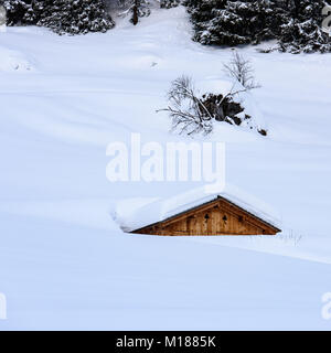 Chalet umgeben von schneebedeckten Stockfoto