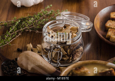 Rustikale Pilze Suppe, tschechischen Wald Pilze, frisch sammeln im Wald Stockfoto