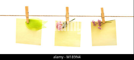 Papiere und Blumen mit Wäscheklammer auf weißem Hintergrund Stockfoto