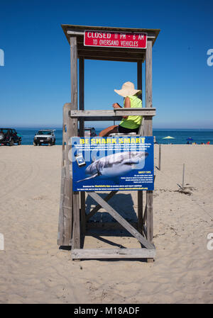 Ein Zeichen Warnung der Haie Offshore ist ein Rettungsschwimmer stehen auf einem Cape Cod Strand in Stockbridge, Massachusetts. befestigt. Stockfoto