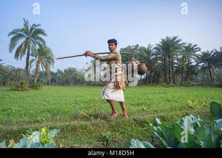 Man Klettern oder Khejur Dattelpalmen (Phoenix sylvestris) Baum für toddy, Khulna Division, Bangladesch. Stockfoto