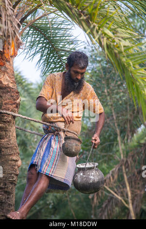 Datum palm sap-Sammler hing eine Sammlung Topf Khulna Division, Bangladesch. Stockfoto