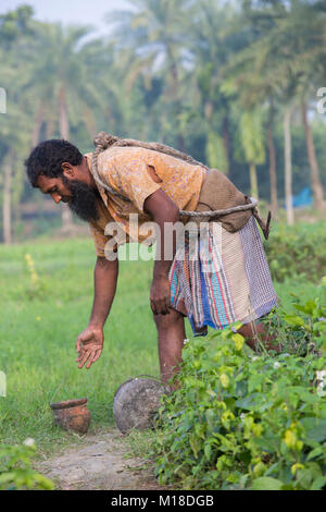 Man Klettern oder Khejur Dattelpalmen (Phoenix sylvestris) Baum für toddy, Khulna Division, Bangladesch. Stockfoto