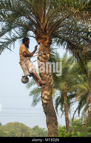 Datum palm sap-Sammler hing eine Sammlung Topf Khulna Division, Bangladesch. Stockfoto