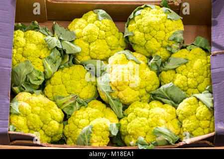 Frisch Blumenkohl in eine Box auf einem Regal im Supermarkt Stockfoto