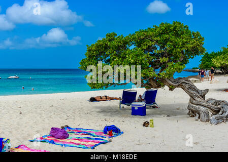 Oranjestad, Aruba - Januar 4, 2018: Touristen entspannen unter einem Divi Baum im idyllischen Eagle Beach in Aruba. Stockfoto