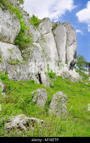 Naturschutzgebiet Mount Zborow/Berkowa. Polnische Jurassic Highland, Woiwodschaft Kleinpolen, Europa