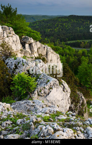 Naturschutzgebiet Mount Zborow/Berkowa. Polnische Jurassic Highland, Woiwodschaft Kleinpolen, Europa