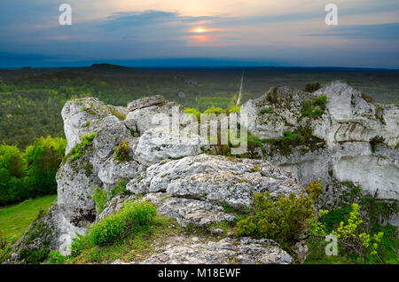 Naturschutzgebiet Mount Zborow/Berkowa. Polnische Jurassic Highland, Woiwodschaft Kleinpolen, Europa Stockfoto