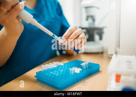 Proben von Tierversuchen in der Tierklinik. Arbeiten mit Analysen in der Berufsbildung Labor Stockfoto