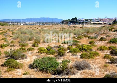 Blick über das Naturschutzgebiet auf den Hafen und die Stadt, Alvor, Algarve, Portugal, Europa. Stockfoto