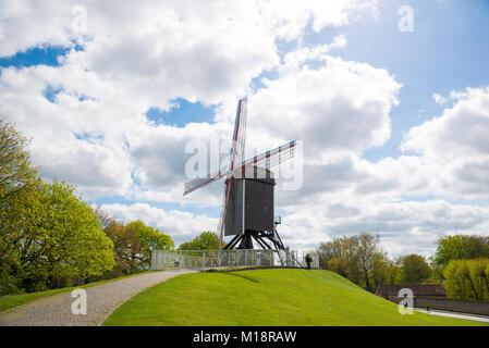 Windmühle in Brügge, Nordeuropa, Belgien. Historisches Gebäude für den Tourismus in der Stadt erhalten, entlang der Kanäle. Stockfoto