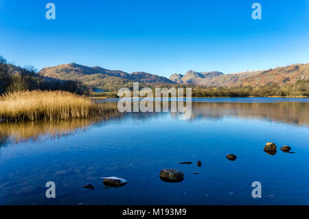 Eine ruhige Elterwater mit den Langdale Pikes in der Ferne Stockfoto