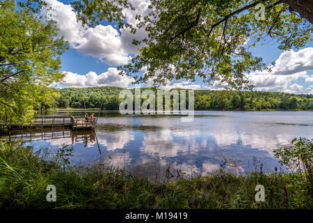 In einem Park in Wisconsin fotografiert. Stockfoto