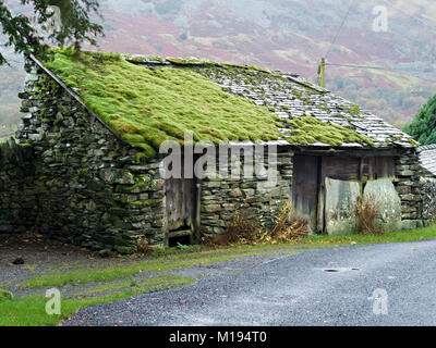 Alte verfallene rustikalen Schiefer Nebengebäude mit Moos bedeckte Dach, Chapel Stile, Langdale, Cumbria, England, Großbritannien Stockfoto