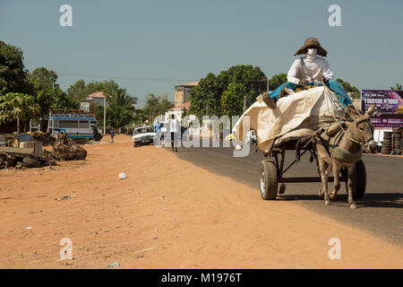 Ein afrikanischer Mann reitet ein Esel und Warenkorb auf einer Straße in Senegambia, Gambia, Südafrika Stockfoto