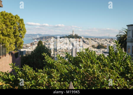 SAN FRANCISCO, USA - ca. November 2017: Blick auf San Francisco von der berühmten Lombard Street im November Tag Stockfoto