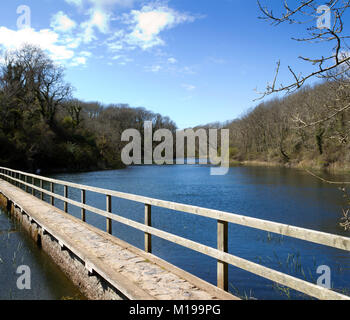 Eine der Gehwege über Bosherston Seerosenteiche im Frühjahr Sonnenschein, Bosherston, Pembrokeshire, Wales, Großbritannien Stockfoto