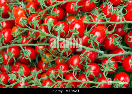 Full Frame vibrant red Cherry Tomaten auf der Rebe auf einem abschaltdruck am Borough Market, London, UK Stockfoto