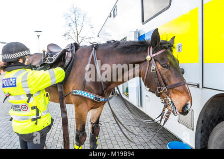 Avon & Somerset Constabulary Mounted Branch. Polizeipferd patrouilliert. Bristol, Großbritannien. Stockfoto