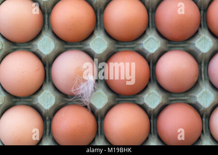 Eine Schale mit frischen Eiern aus Freilandhaltung. Geringe Tiefenschärfe. Stockfoto