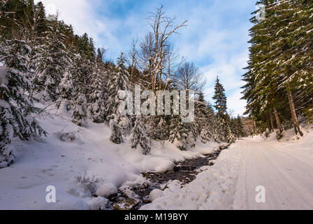 Verschneite Straße entlang dem Pfad durch den Wald. schöne Natur Landschaft im Winter. Lage Synevyr Nationalpark, Ukraine Stockfoto