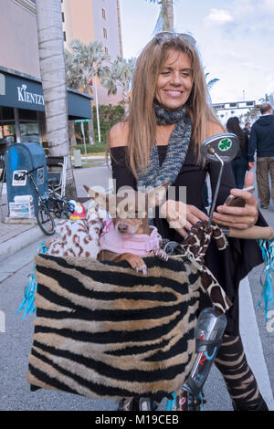 Eine attraktive Irish American Frau mittleren Alters auf ihr Fahrrad mit Ihrem Haustier Chihuahua. In einer Art Festival in Delray Beach, Florida Stockfoto