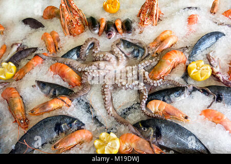 Taverna Seafood Auswahl auf Eis, Hafen, Rethymnon Rethymnon (Rethymno), Rethymno, Kreta (Kriti), Griechenland Stockfoto