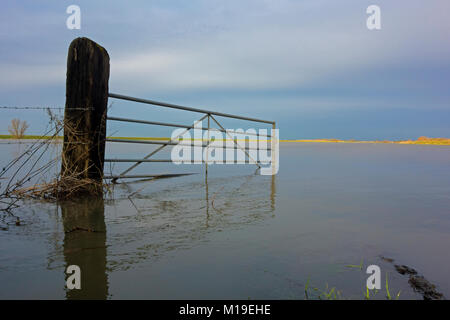 Überflutetes Tor und Blick hinunter Ouse Wäscht in Sutton Gault, Cambridgeshire, England Stockfoto
