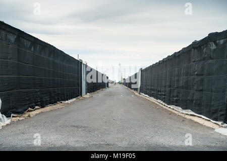 Invernaderos, Kunststoff Gewächshäuser, Treibhäuser für Boden freien Kulturen in Murcia, Spanien. Ein Störfaktor für die Landschaft als Stockfoto