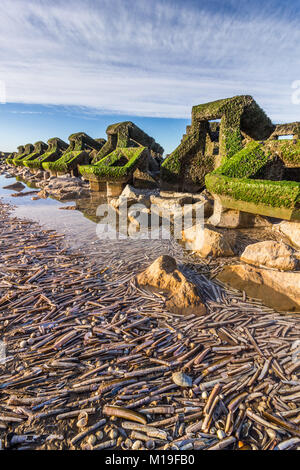 Neue Brighton Beach Wellenbrecher und See Defense System Stockfoto