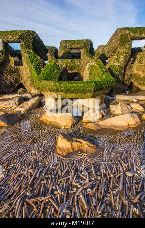 Neue Brighton Beach Wellenbrecher und See Defense System Stockfoto