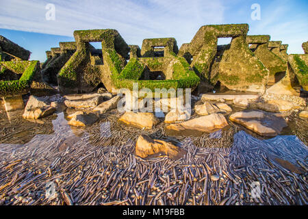 Neue Brighton Beach Wellenbrecher und See Defense System Stockfoto