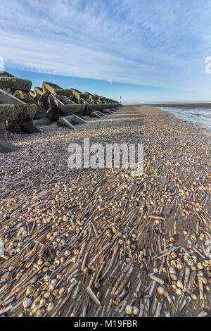 Neue Brighton Beach Wellenbrecher und See Defense System Stockfoto