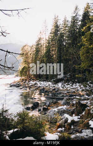 Wald Szene an einem sonnigen Tag im Winter am See Eibsee Grainau, Oberbayern, Deutschland. Stockfoto